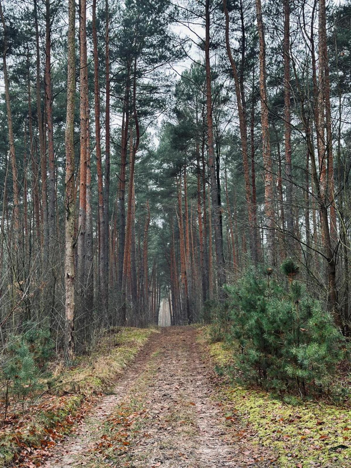 Domki Kacprowy W Lipnicy Lipnica  Bagian luar foto